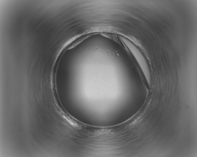 X0000064040846200602101422