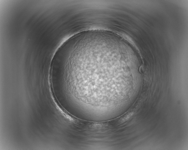 X0000064040847200602101422