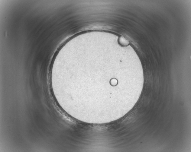 X0000064040848200602101422