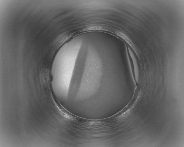 X0000064040849200602101423