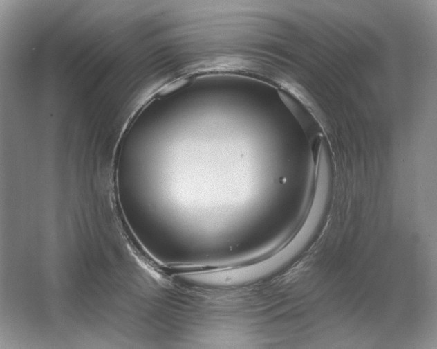 X0000064040850200602101423