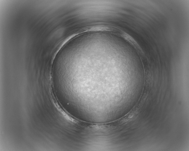 X0000064040852200602101423