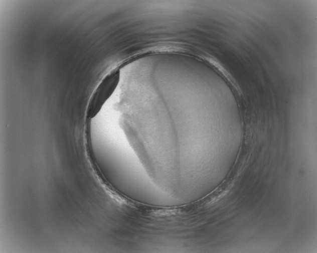 X0000064040853200602101423