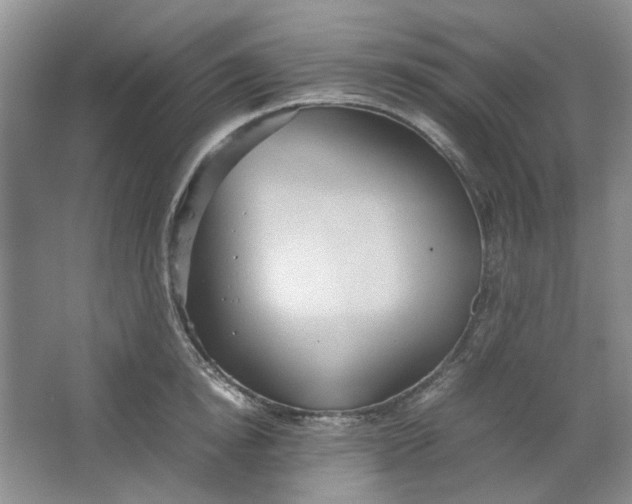 X0000064040854200602101423