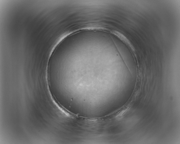 X0000064040855200602101423