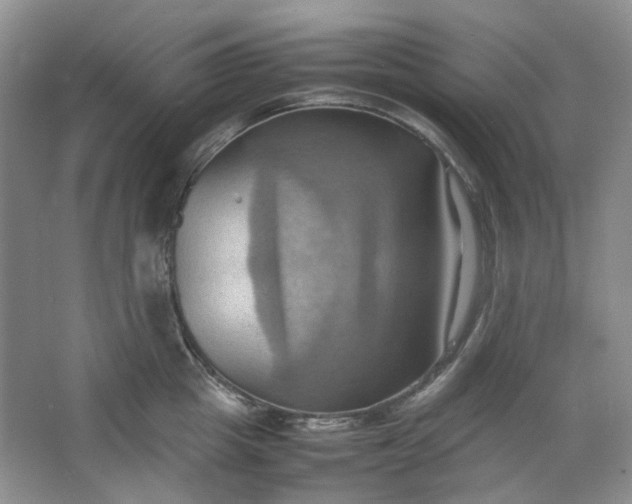 X0000064040857200602101423