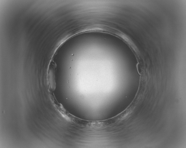 X0000064040858200602101423