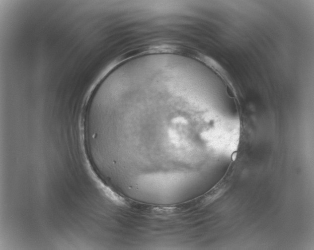 X0000064040859200602101423