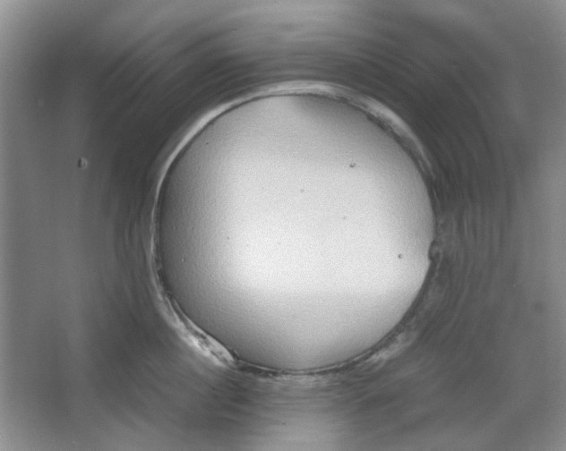 X0000064040860200602101423