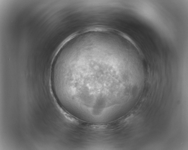 X0000064040861200602101423