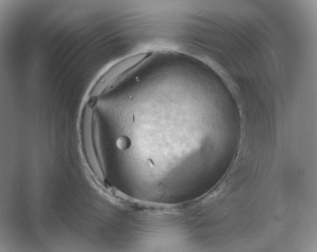 X0000064040864200602101423