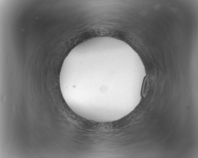 X0000064040865200602101422