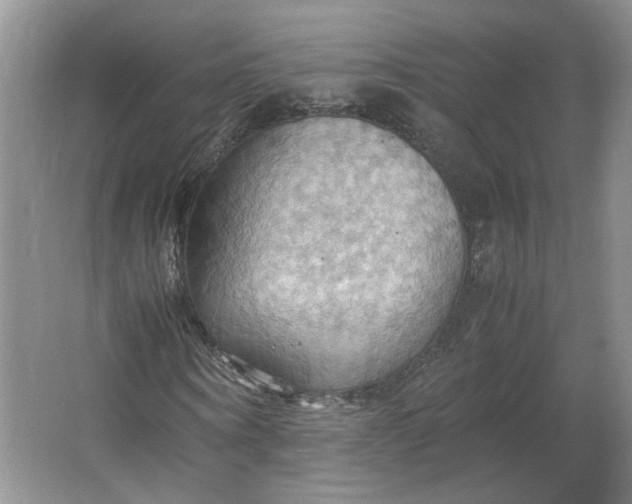 X0000064040866200602101422