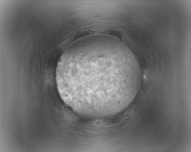 X0000064040867200602101422