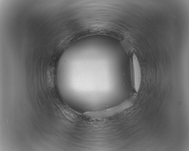 X0000064040868200602101422