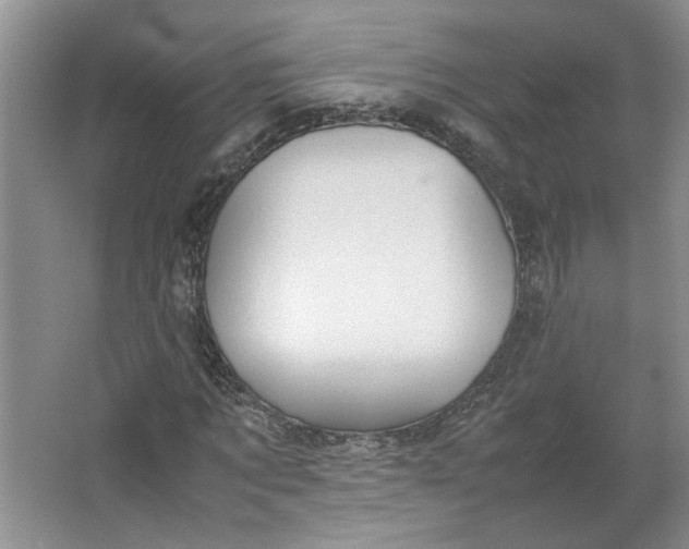 X0000064040869200602101422