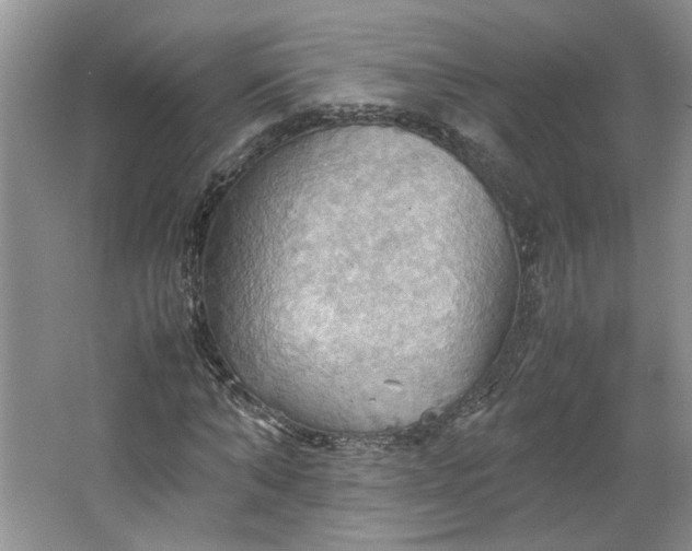 X0000064040870200602101422