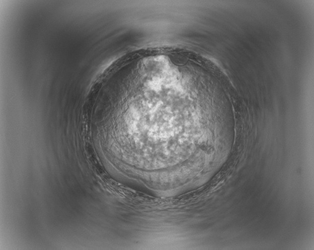 X0000064040871200602101422