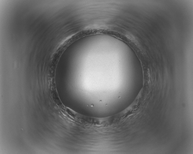 X0000064040872200602101422