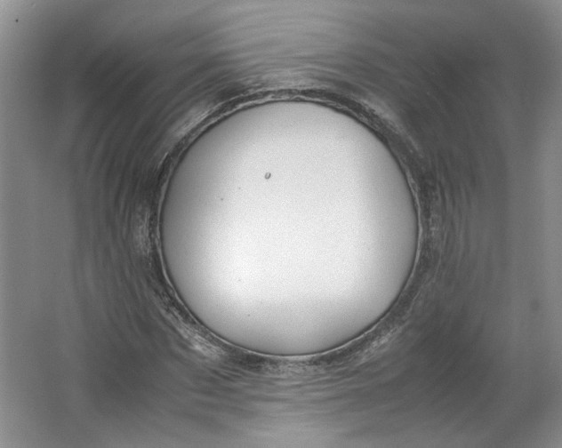 X0000064040873200602101422