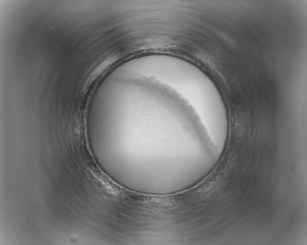 X0000064040874200602101422