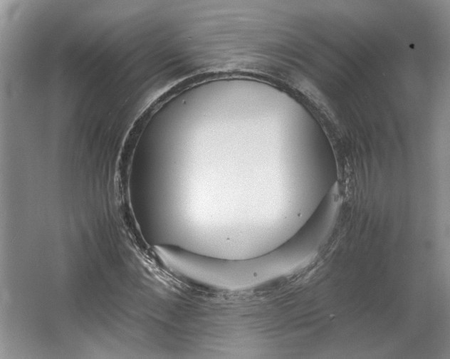 X0000064040876200602101422