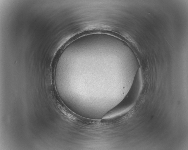 X0000064040877200602101422