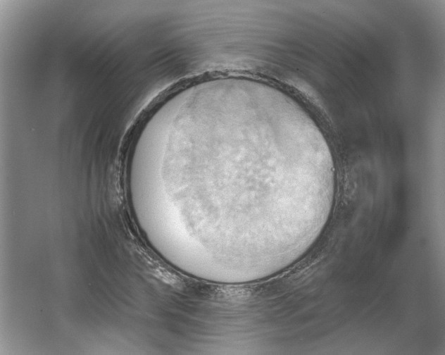 X0000064040878200602101422