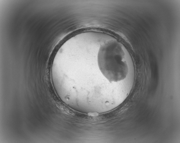 X0000064040879200602101422