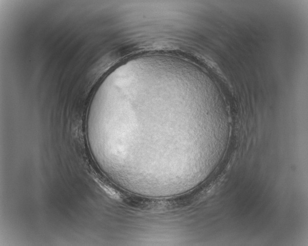 X0000064040881200602101422