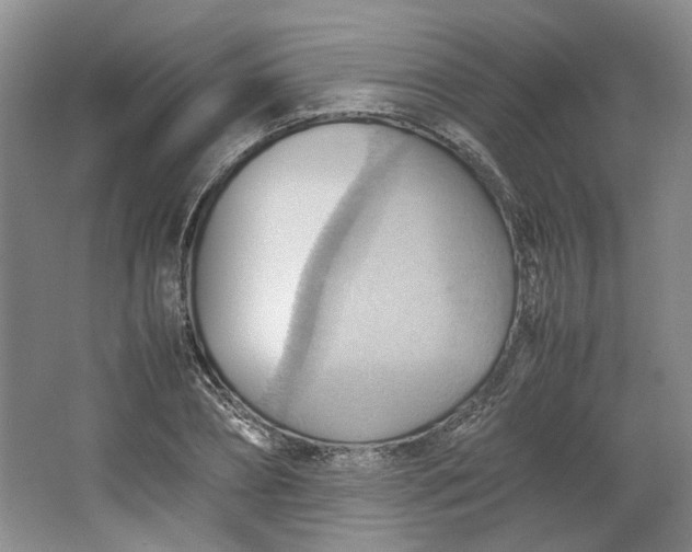 X0000064040882200602101422