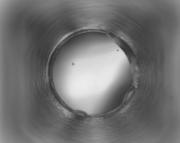 X0000064040884200602101422