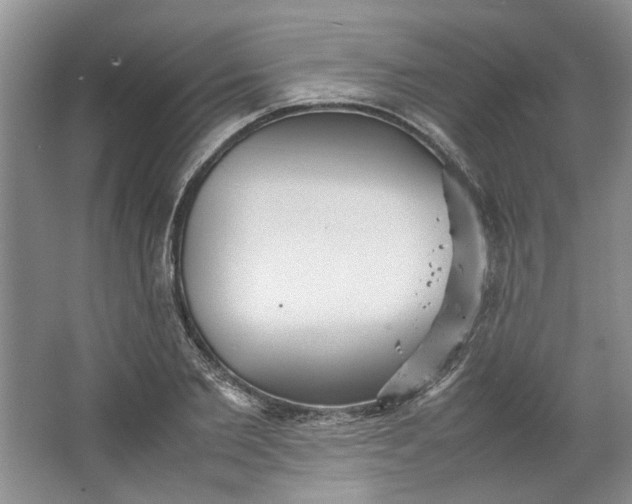 X0000064040885200602101422