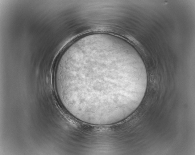 X0000064040886200602101422