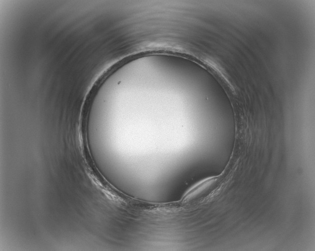 X0000064040888200602101422