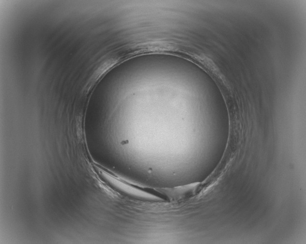 X0000064040889200602101422