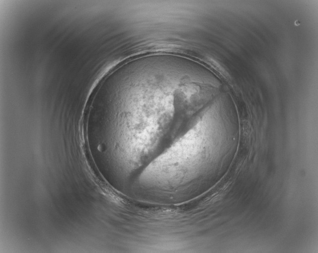 X0000064040891200602101422