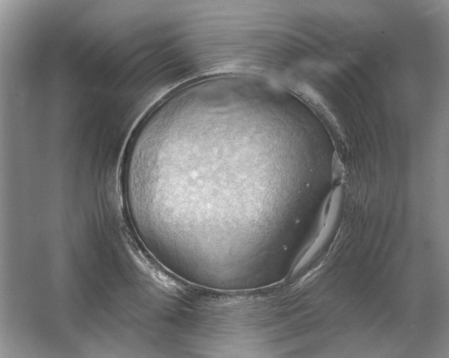 X0000064040892200602101421