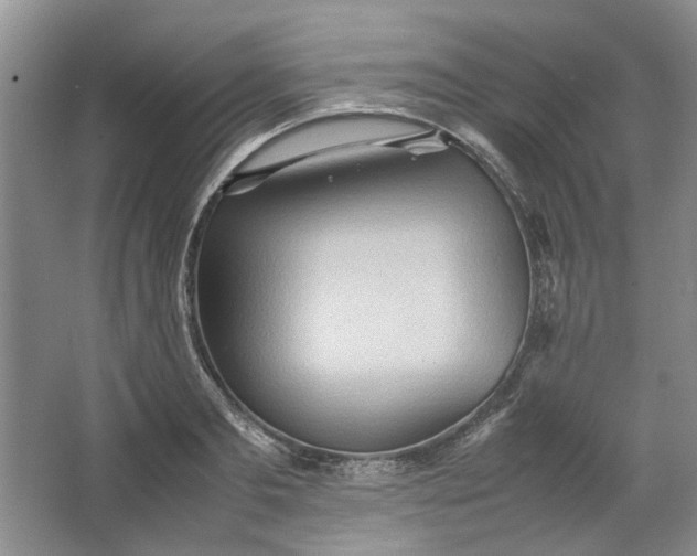 X0000064040893200602101421