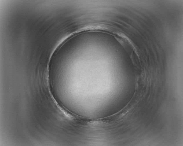 X0000064040894200602101421