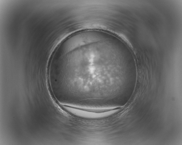 X0000064040895200602101421