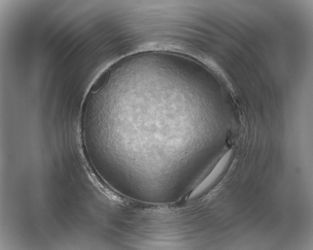 X0000064040896200602101421