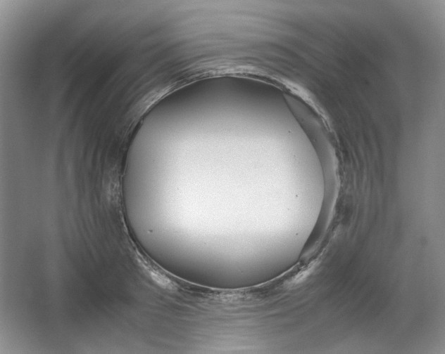 X0000064040897200602101421