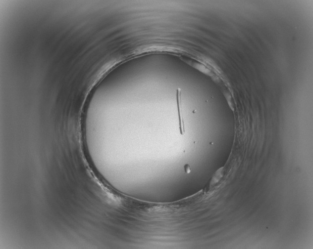 X0000064040898200602101421