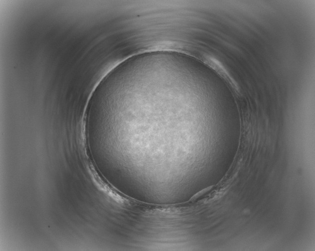 X0000064040900200602101421