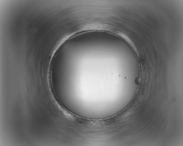 X0000064040901200602101421