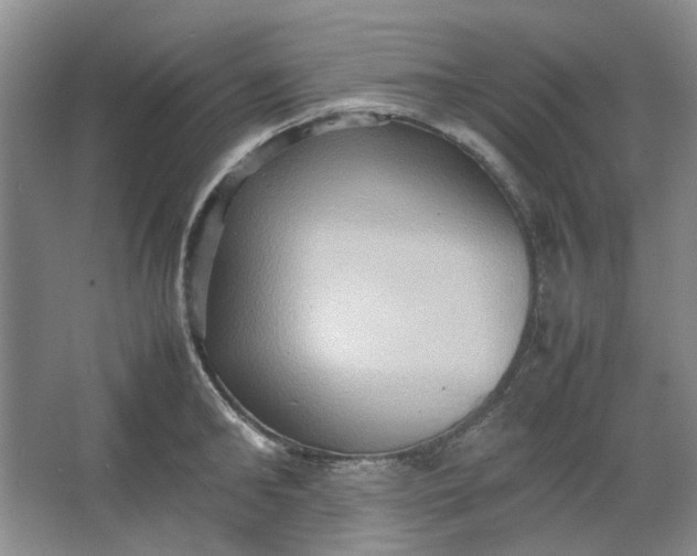 X0000064040902200602101421