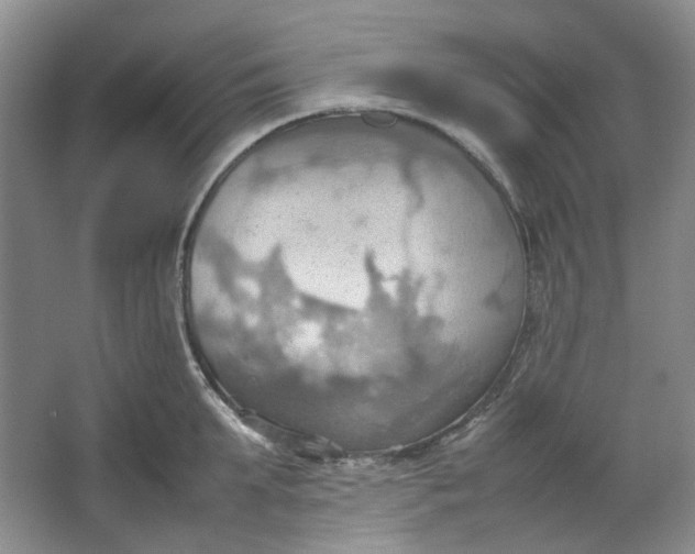 X0000064040903200602101421