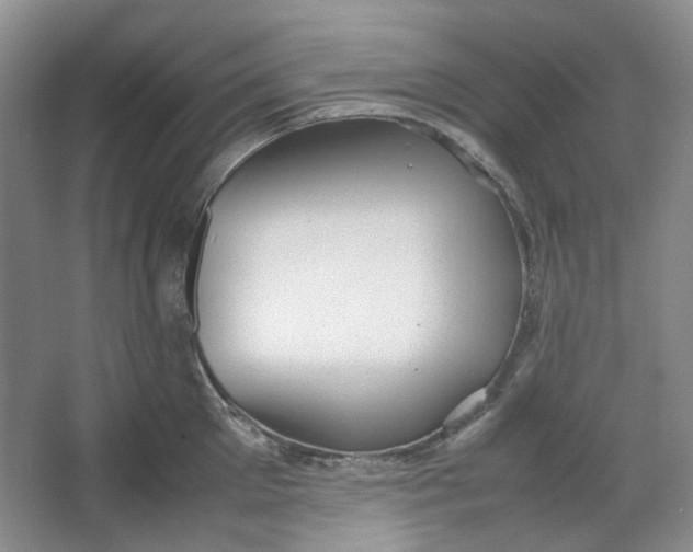 X0000064040905200602101421