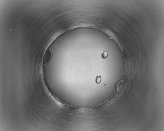 X0000064040906200602101421